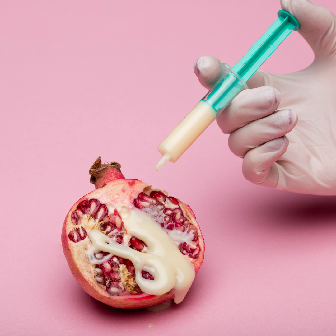 Fecundación in vitro